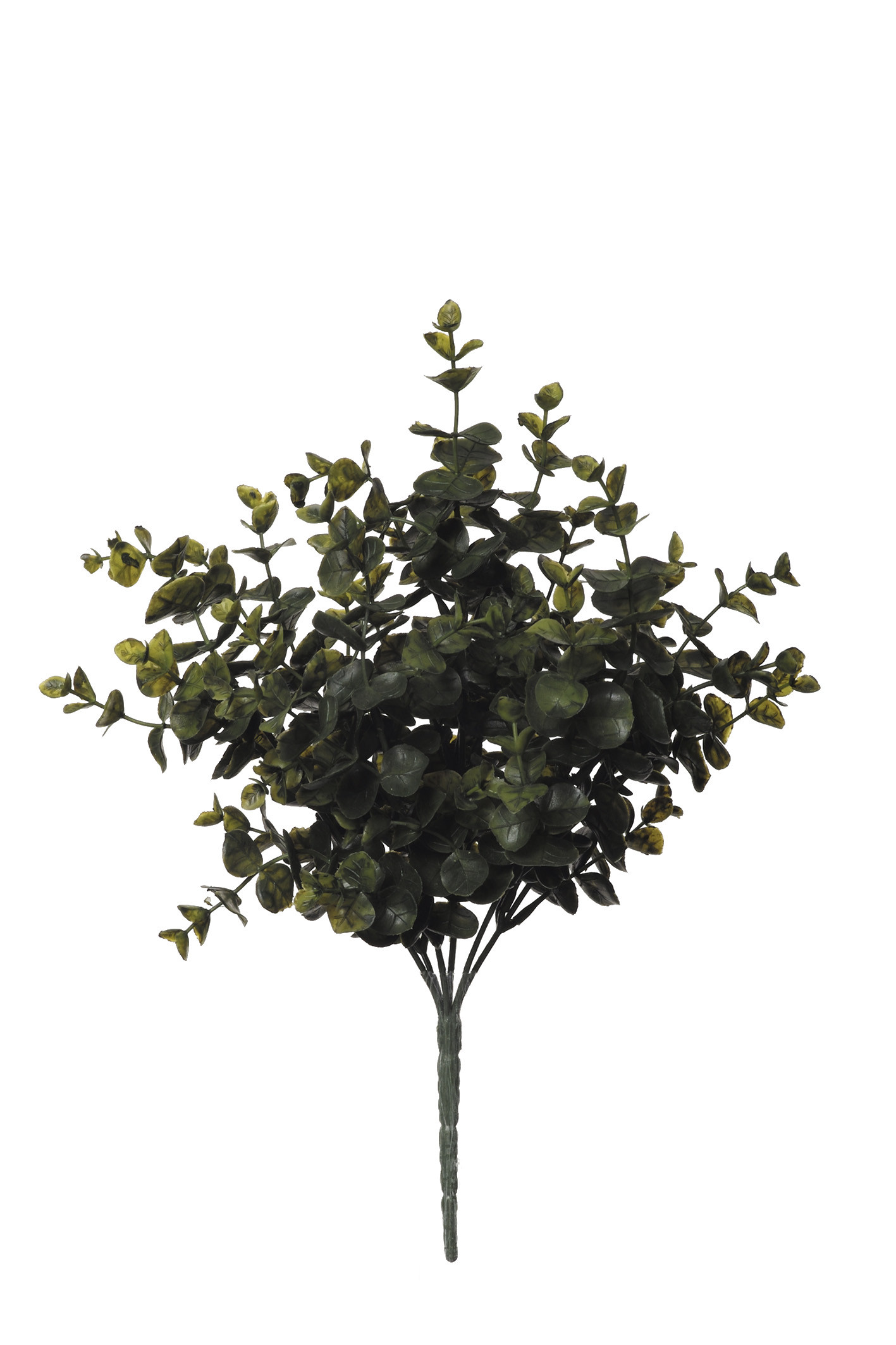 comprar 479479 MATA EUCALIPTUS X7 35CM online de desde 11,31 €