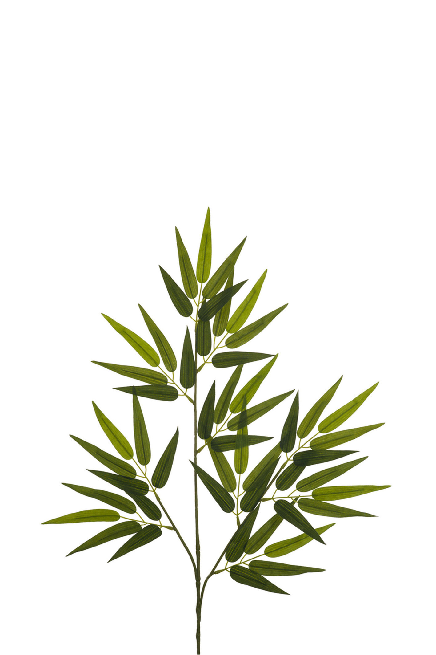 comprar 306002 RAMA BAMBU TELA online de desde 2,80 €