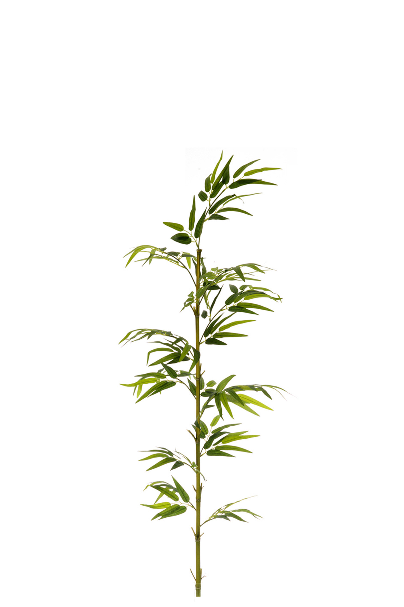 comprar 474784 FB CAÑA BAMBU NATURAL 3,6R EC C/H 120CM online de desde 26,35 €
