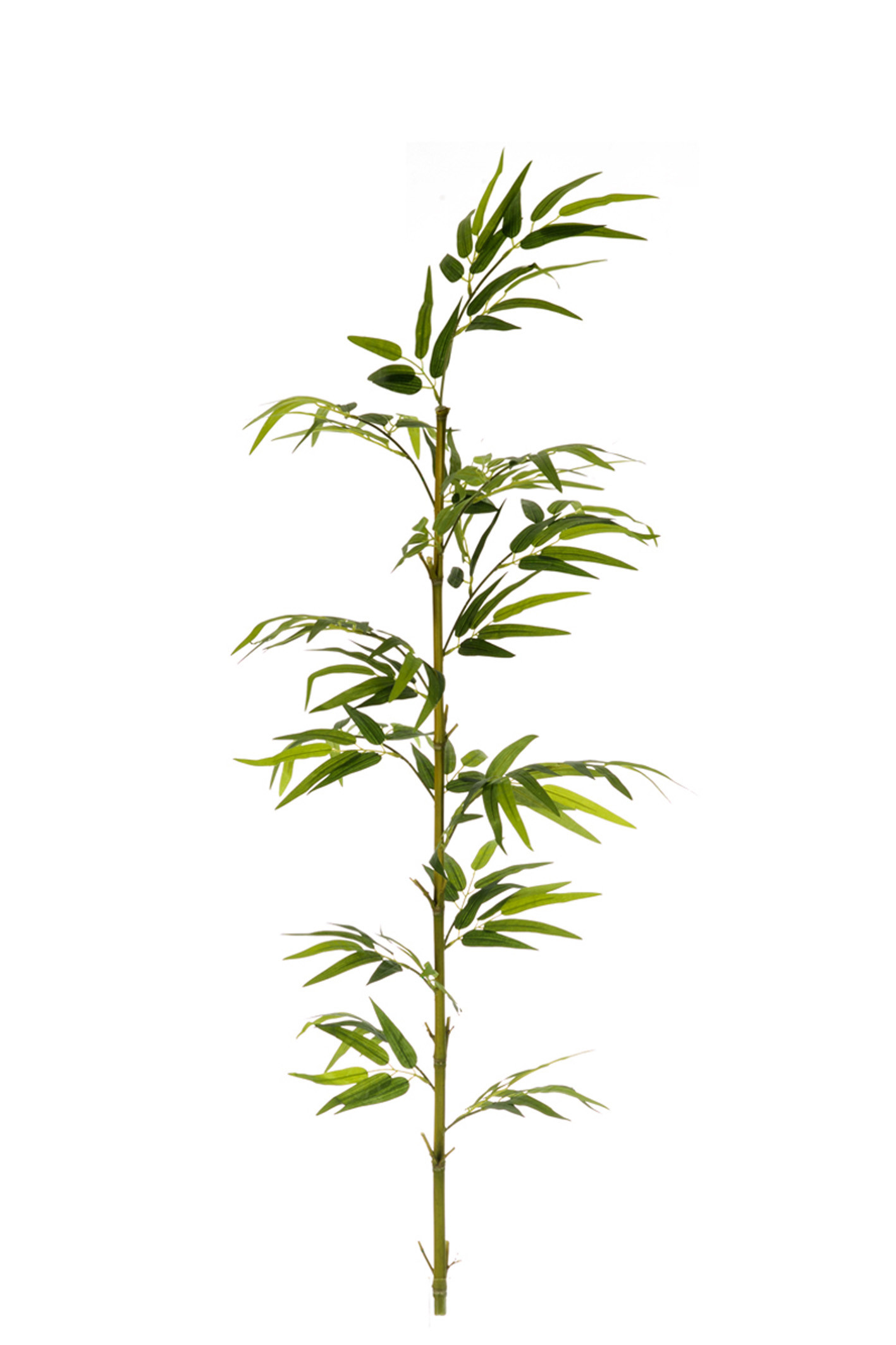 comprar 474809 FB CAÑA BAMBU NATURAL 5R EC C/H 180CM(30 online de desde 39,66 €