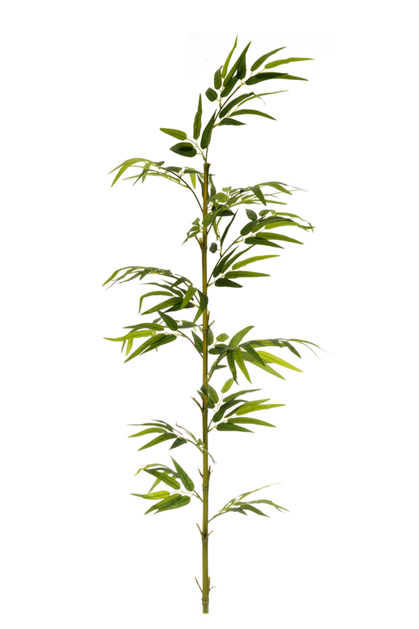 comprar 474817 FB CAÑA BAMBU NATURAL 6,3R EC C/H 210CM( online de desde 47,65 €