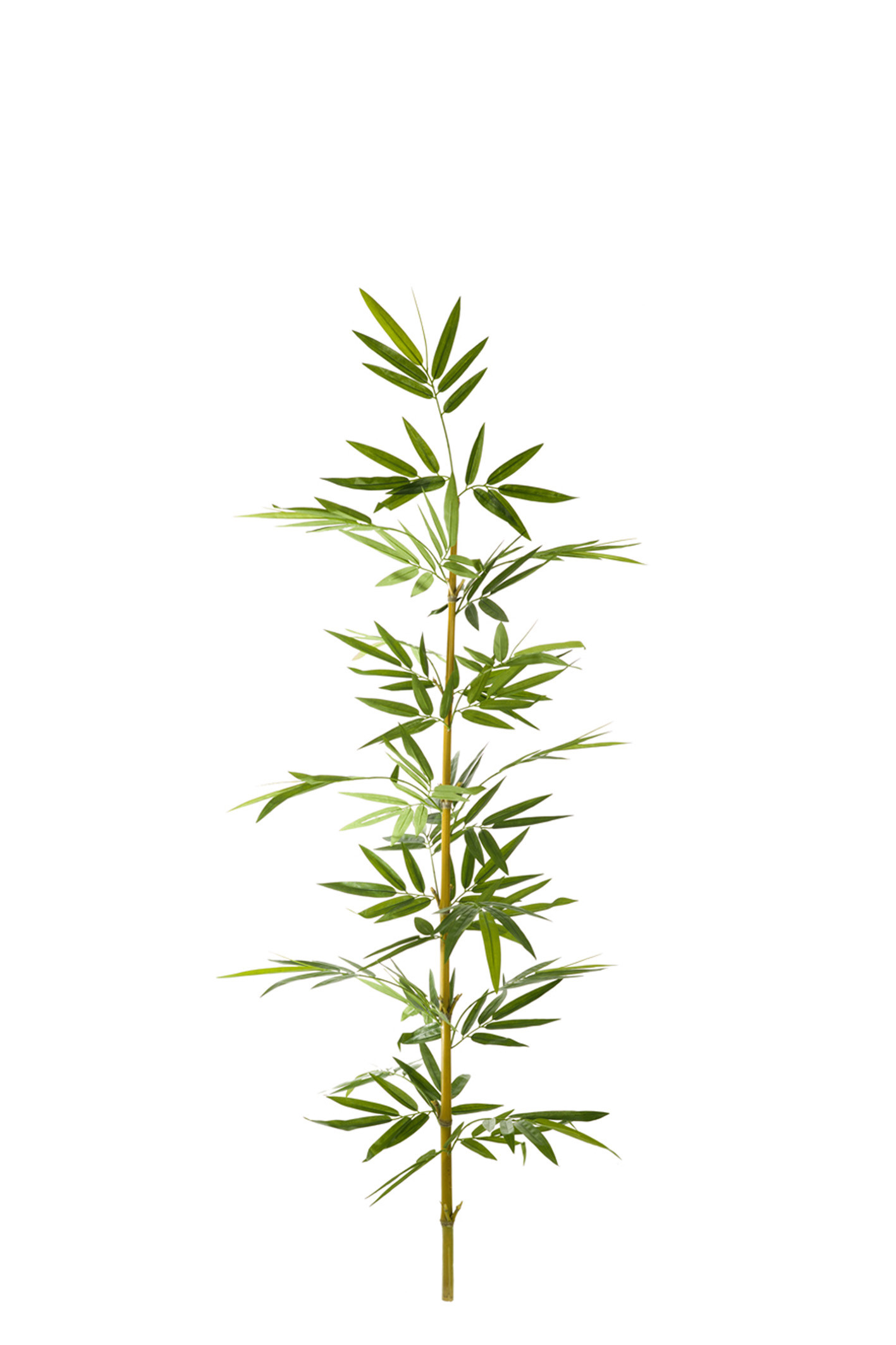 comprar 474669 FB CAÑA BAMBU NATURAL C/H 3,25R 150CM(30 online de desde 53,11 €