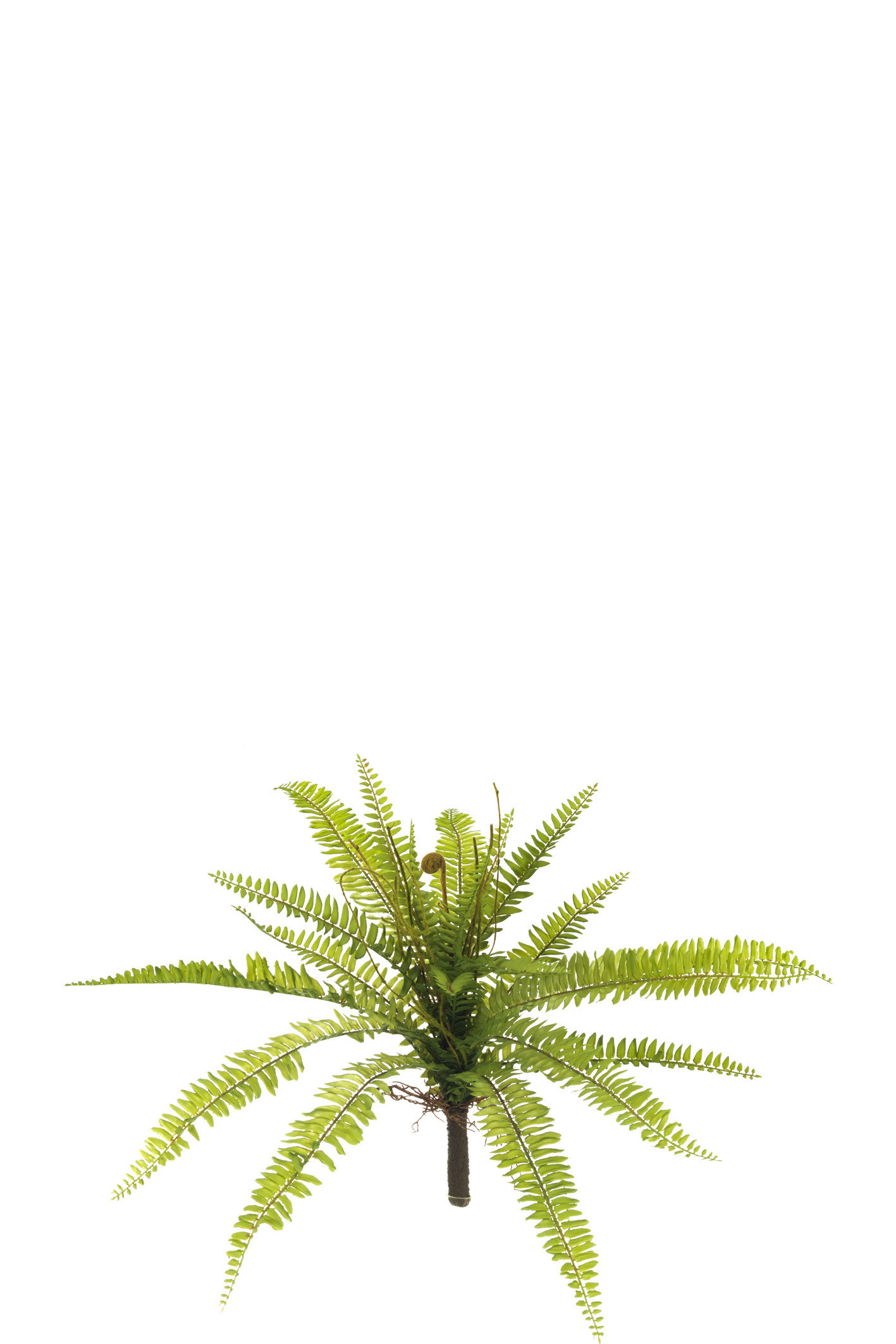 comprar 475097 MATA HELECHO GRANDE PLAST. 53CM online de desde 26,35 €