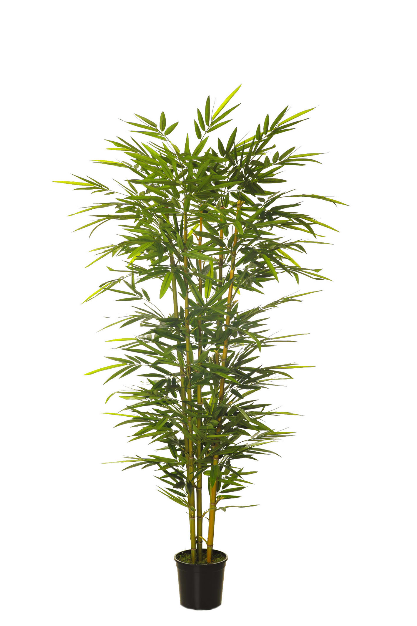 comprar 479685 FB ARBOL BAMBU CONICO 180CM C/M (300442) online de desde 219,74 €