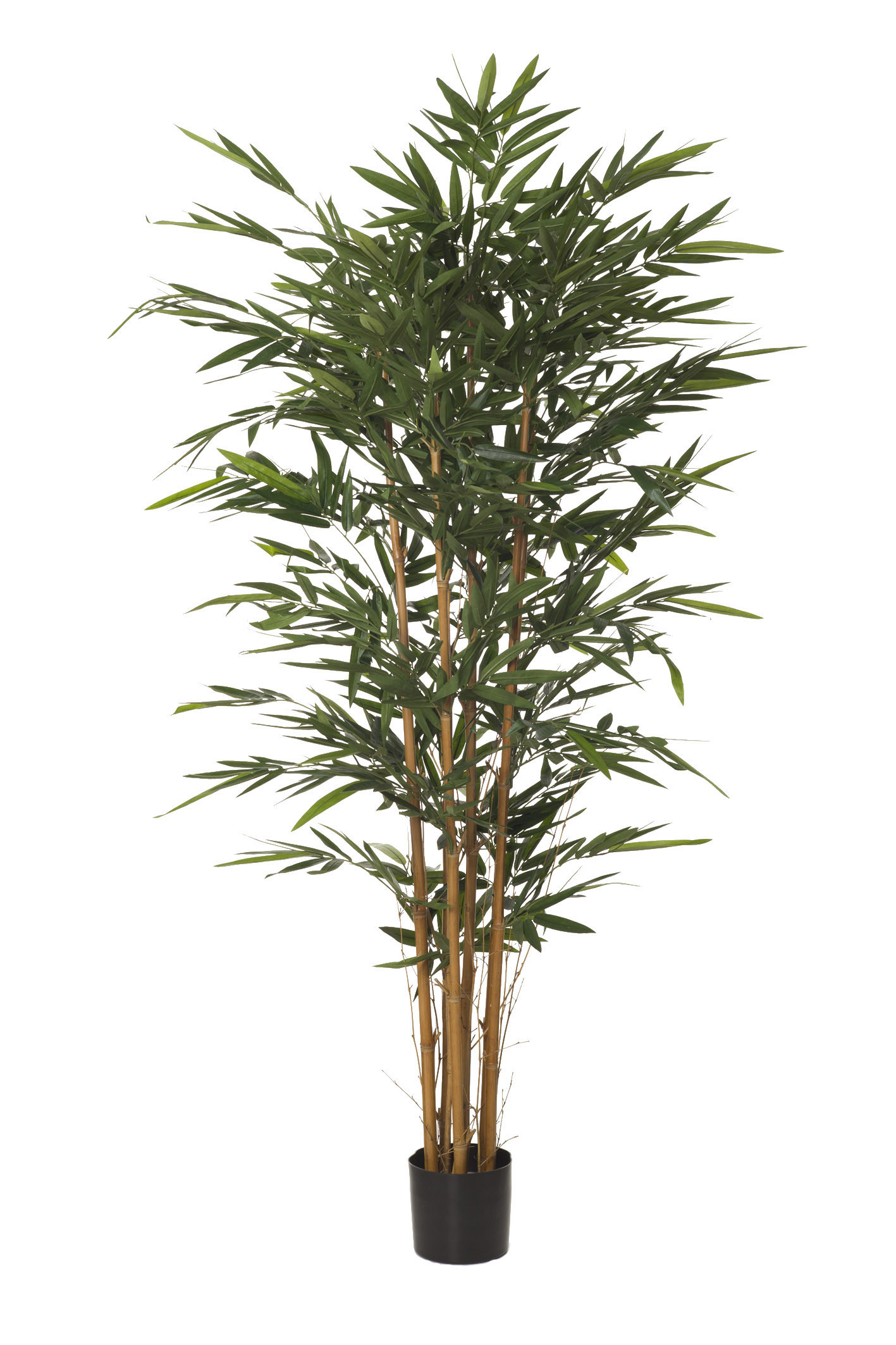 comprar 479776 ARBOL BAMBU IM x8 235cm diá:145 cm online de desde 406,56 €