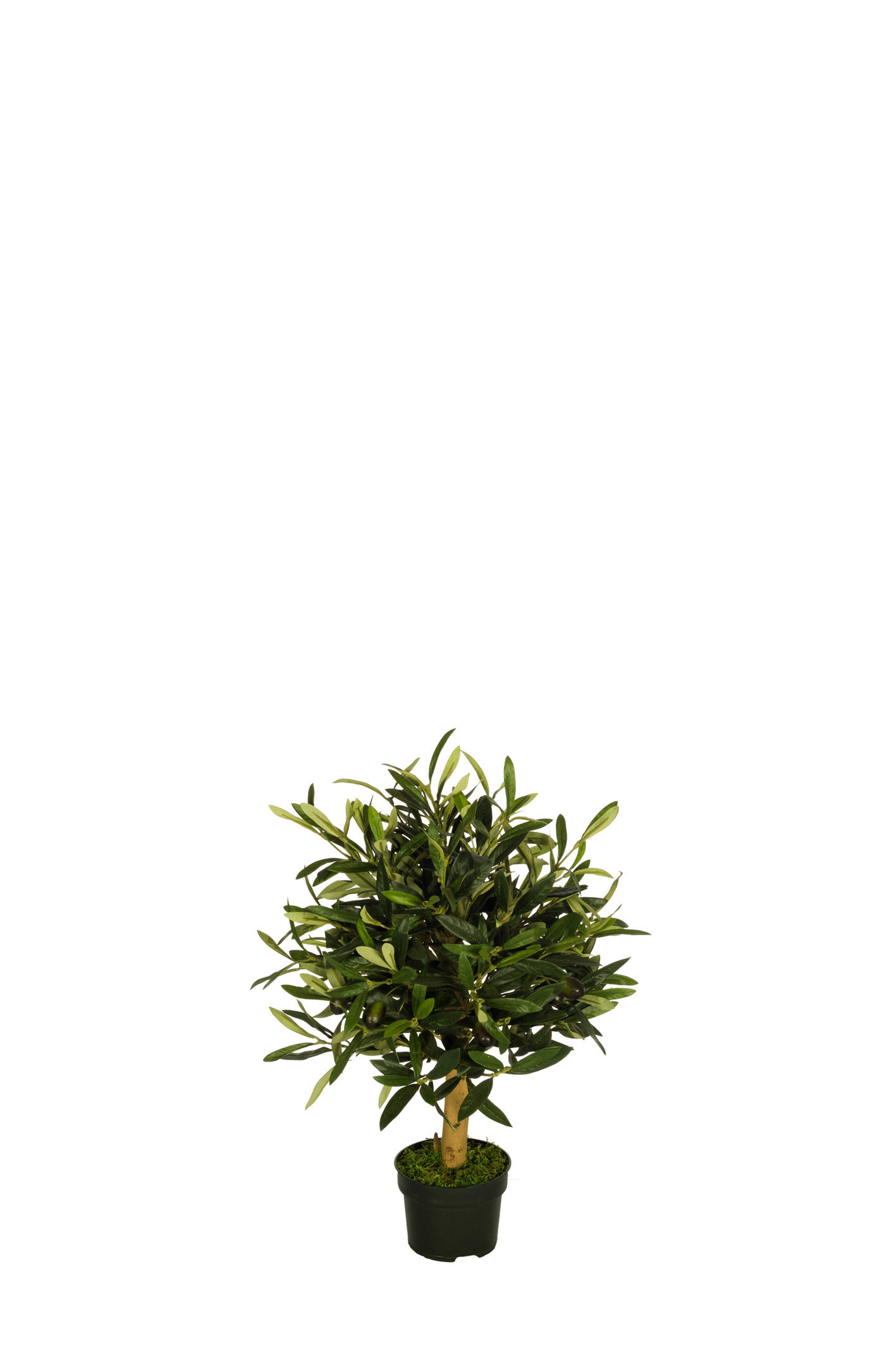 comprar 478512 FB BOLA OLIVO 5R (SF) 47CM DIA:30 C/M UV online de desde 82,28 €