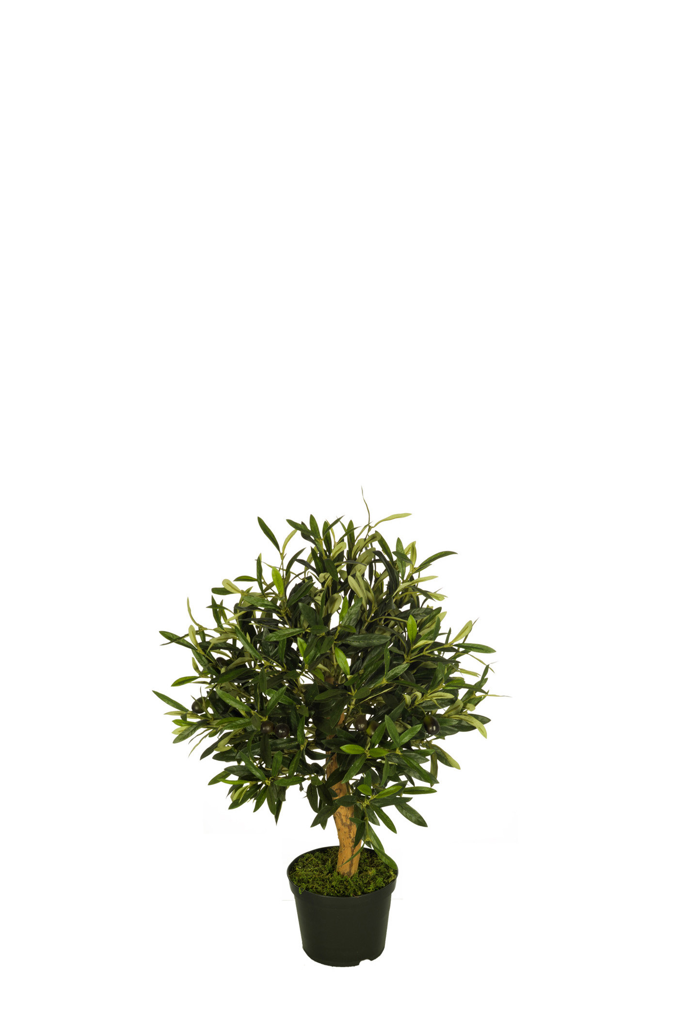 comprar 478520 FB BOLA OLIVO 8R (SF) 60CM DIA:40 C/M UV online de desde 131,89 €