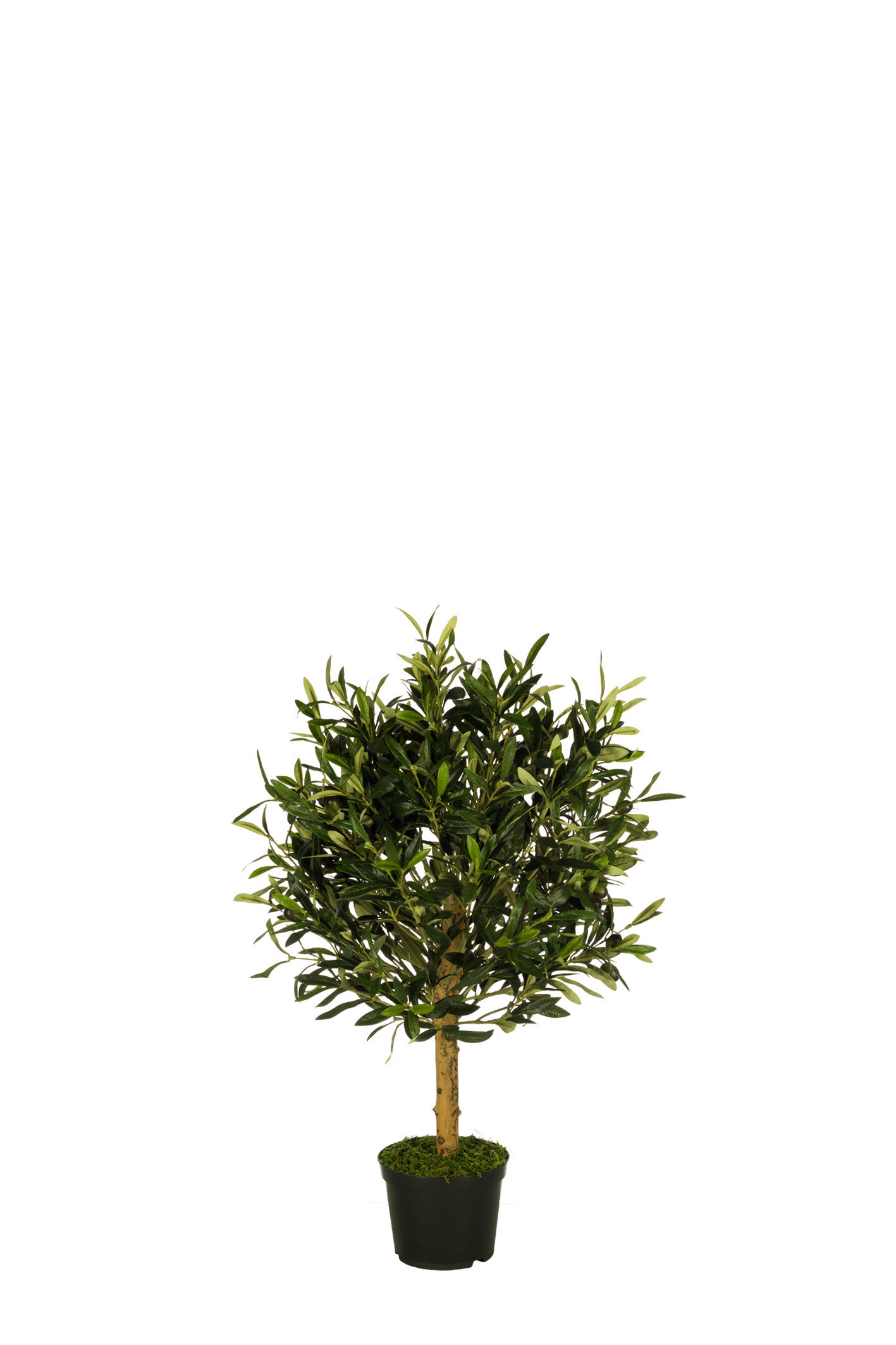 comprar 478538 FB BOLA OLIVO 15R (SF) 67CM DIA:50CM C/M online de desde 216,59 €