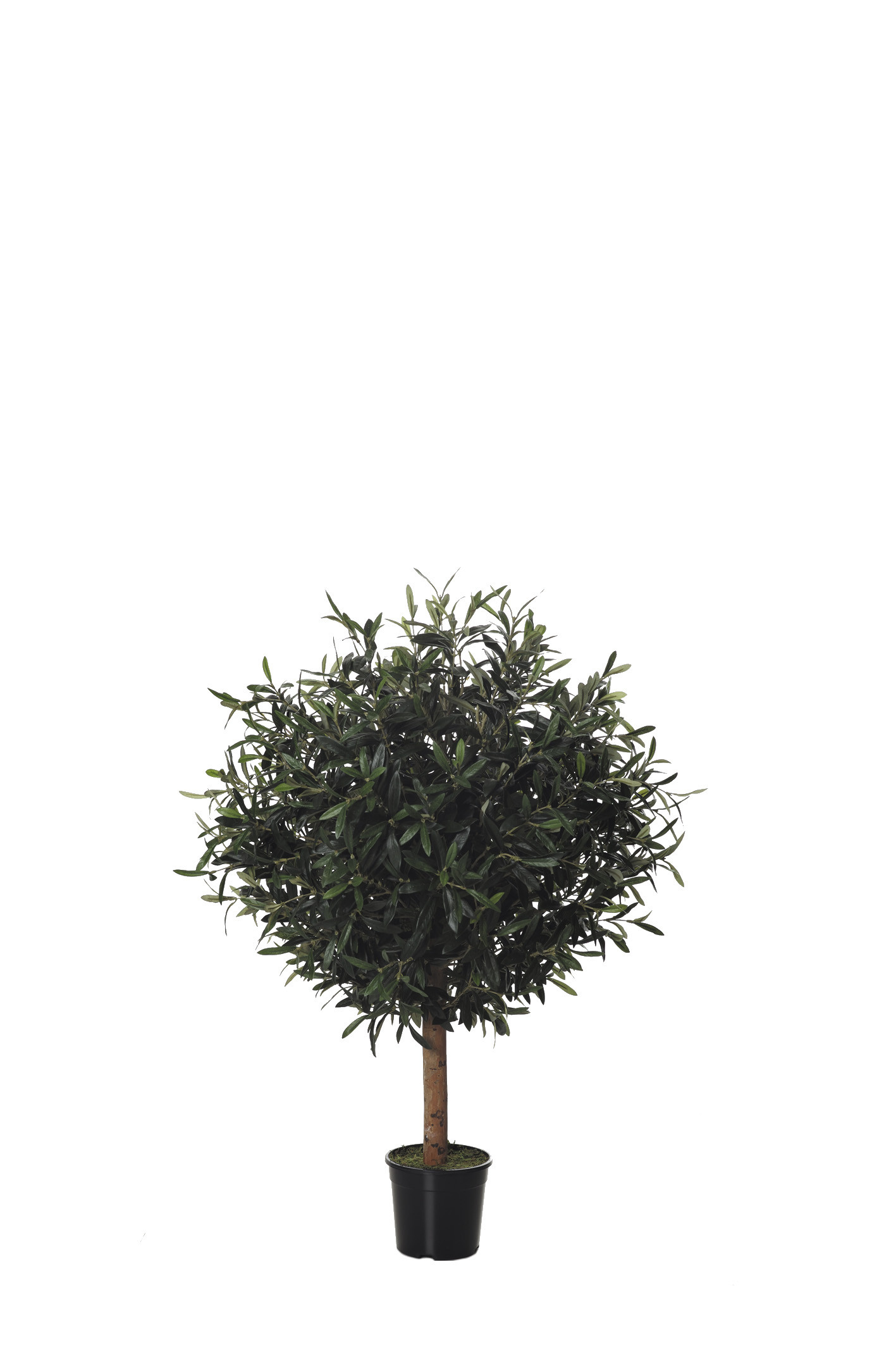 comprar 479247 FB BOLA OLIVO 27R (SF) 90CM DIA:60CM C/M online de desde 350,90 €