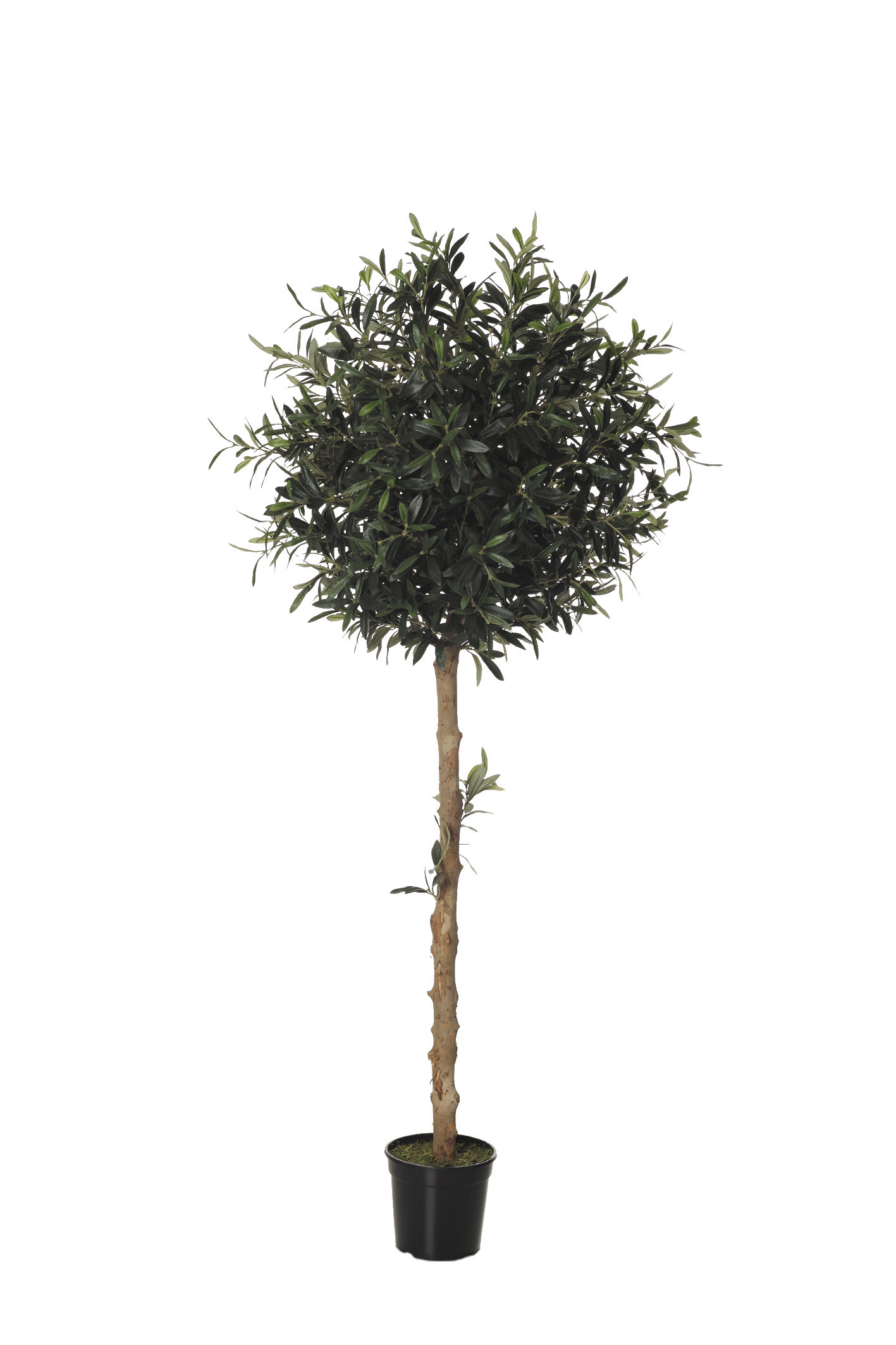 comprar 479255 FB ARBOL OLIVO 27R (SF) 150CM DIA:60CM C online de desde 361,79 €