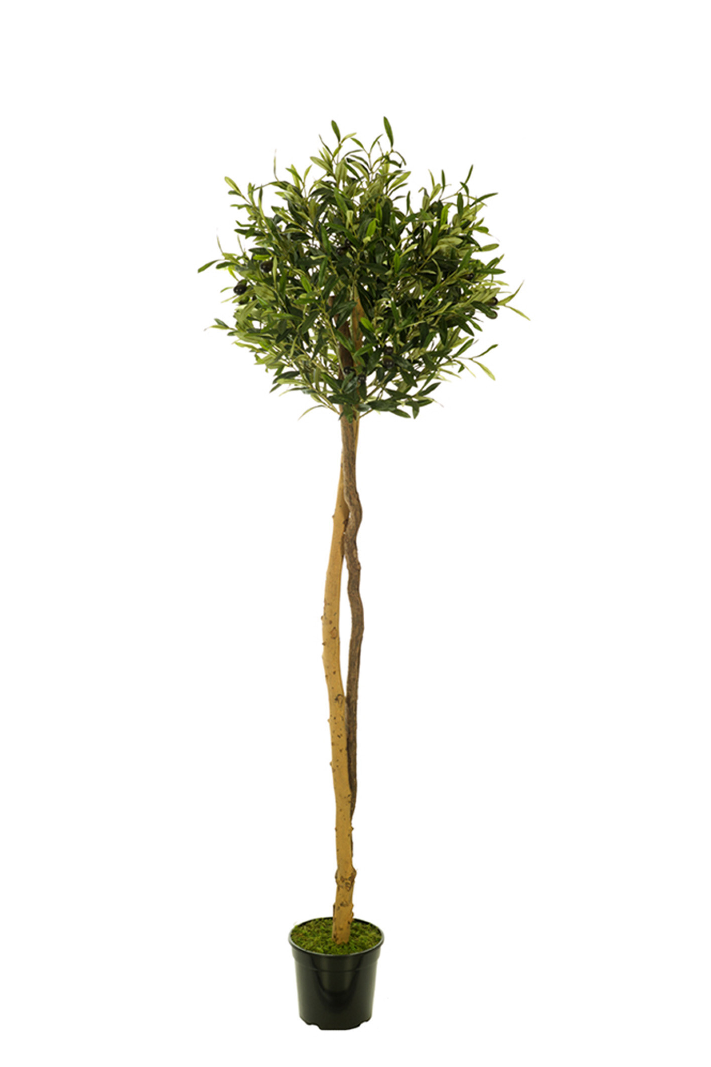 comprar 478554 FB ARBOL OLIVO(SF)180CM DIA:60CM C/M UV2 online de desde 326,70 €