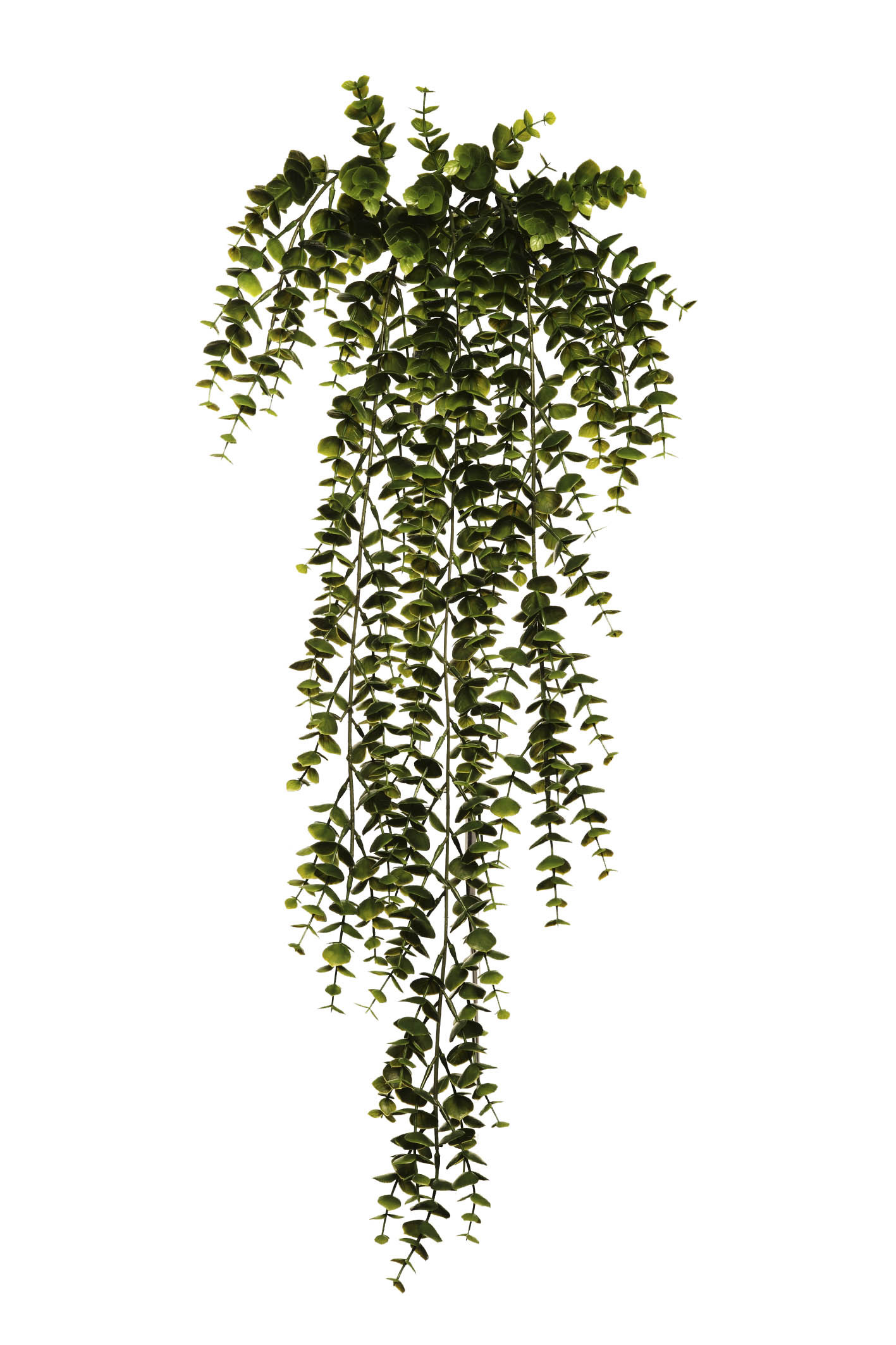 comprar 477150 COLGANTE EUCALIPTUS 76CM online de desde 15,25 €
