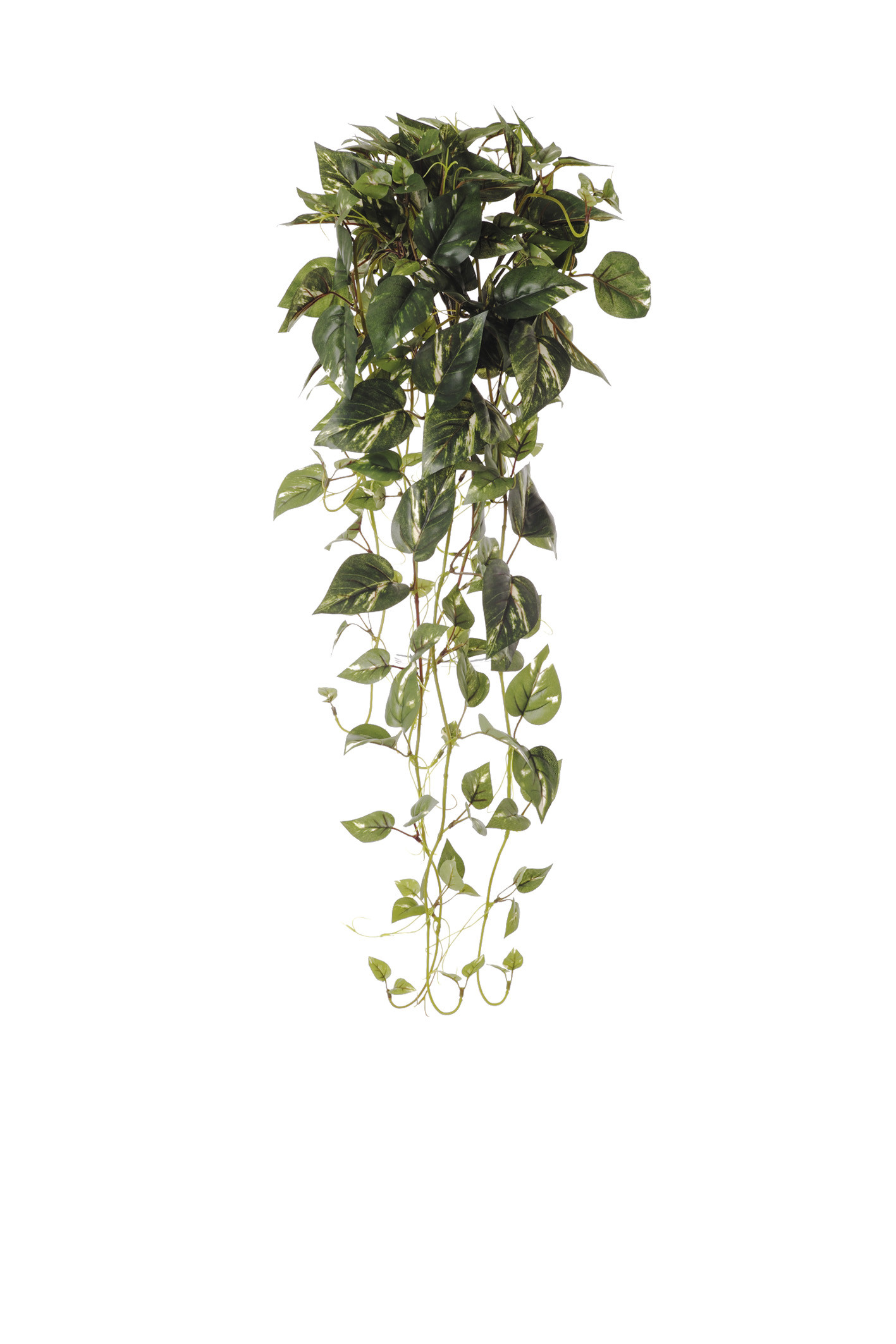 comprar 477051 COLGANTE POTHOS 100CM online de desde 43,56 €