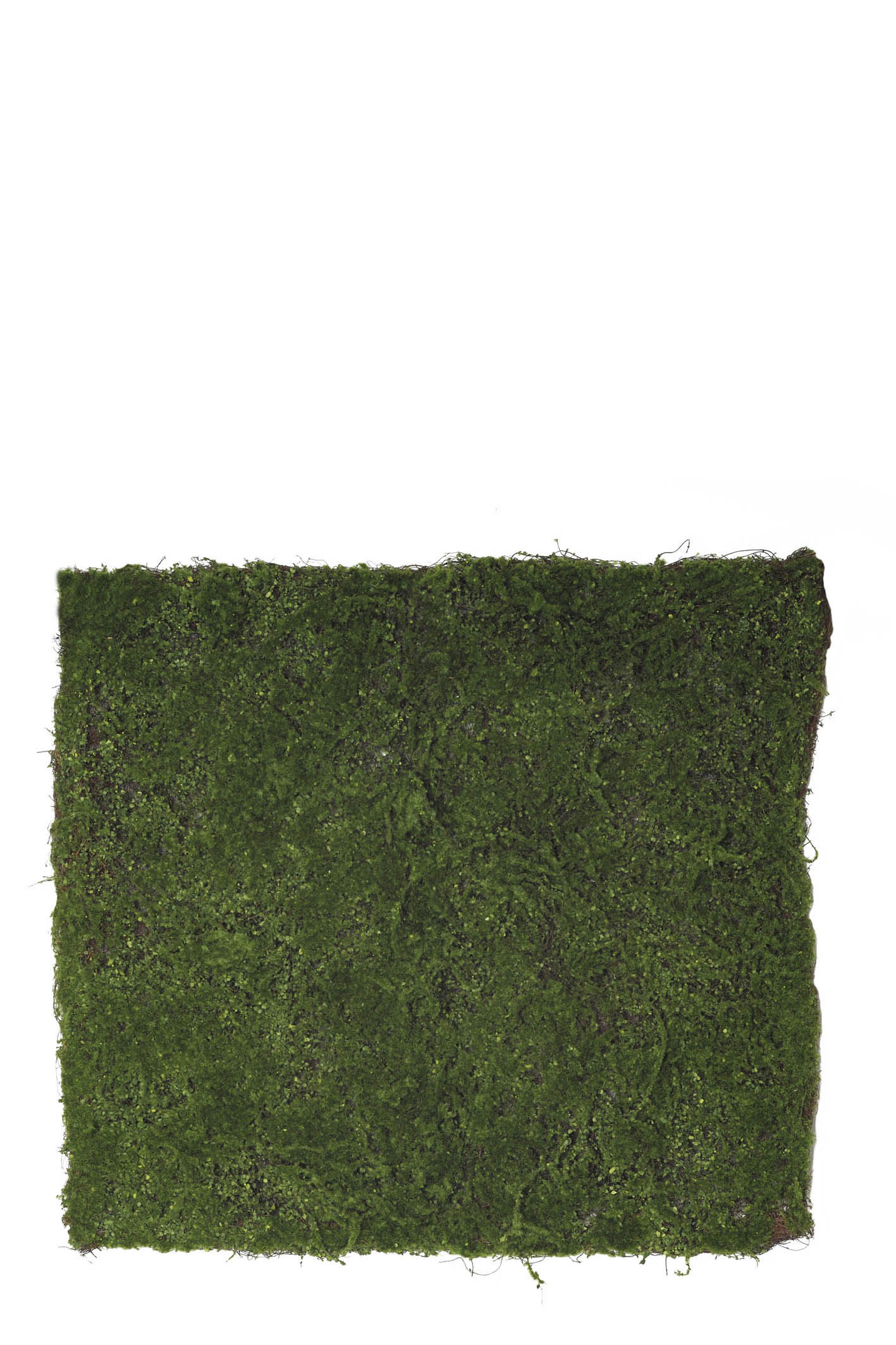 comprar 478819 MATT TWIG MOSS 100X90CM online de desde 133,10 €