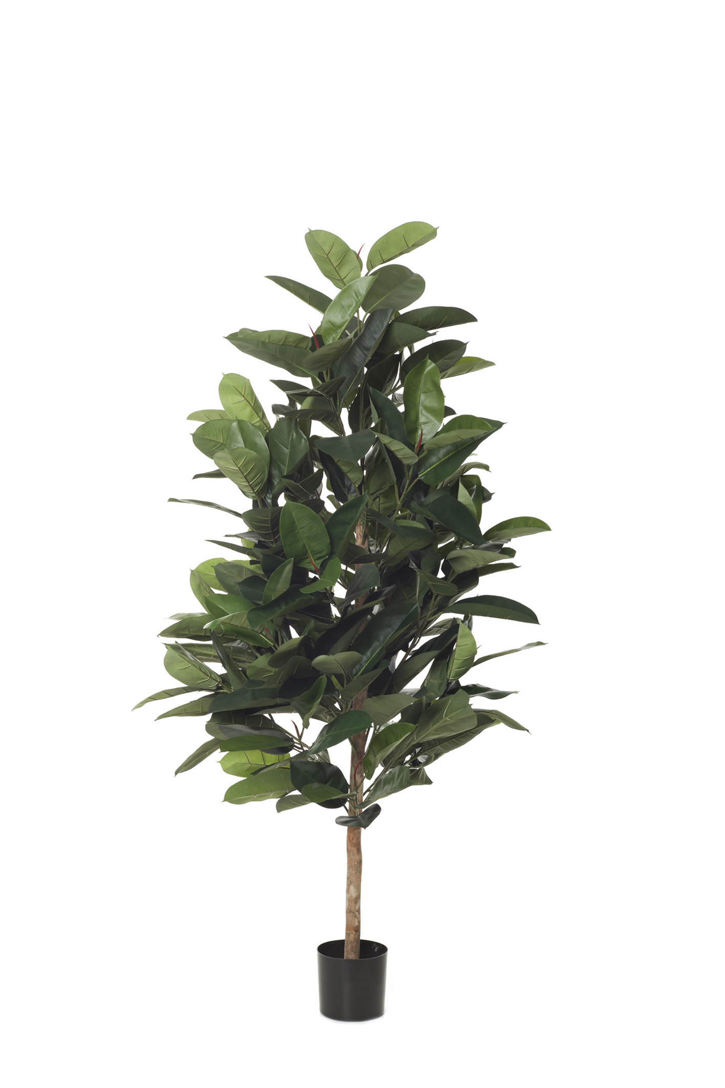 comprar 480111 ARBOL FICUS RUBBER X92 120CM IM online de desde 150,04 €