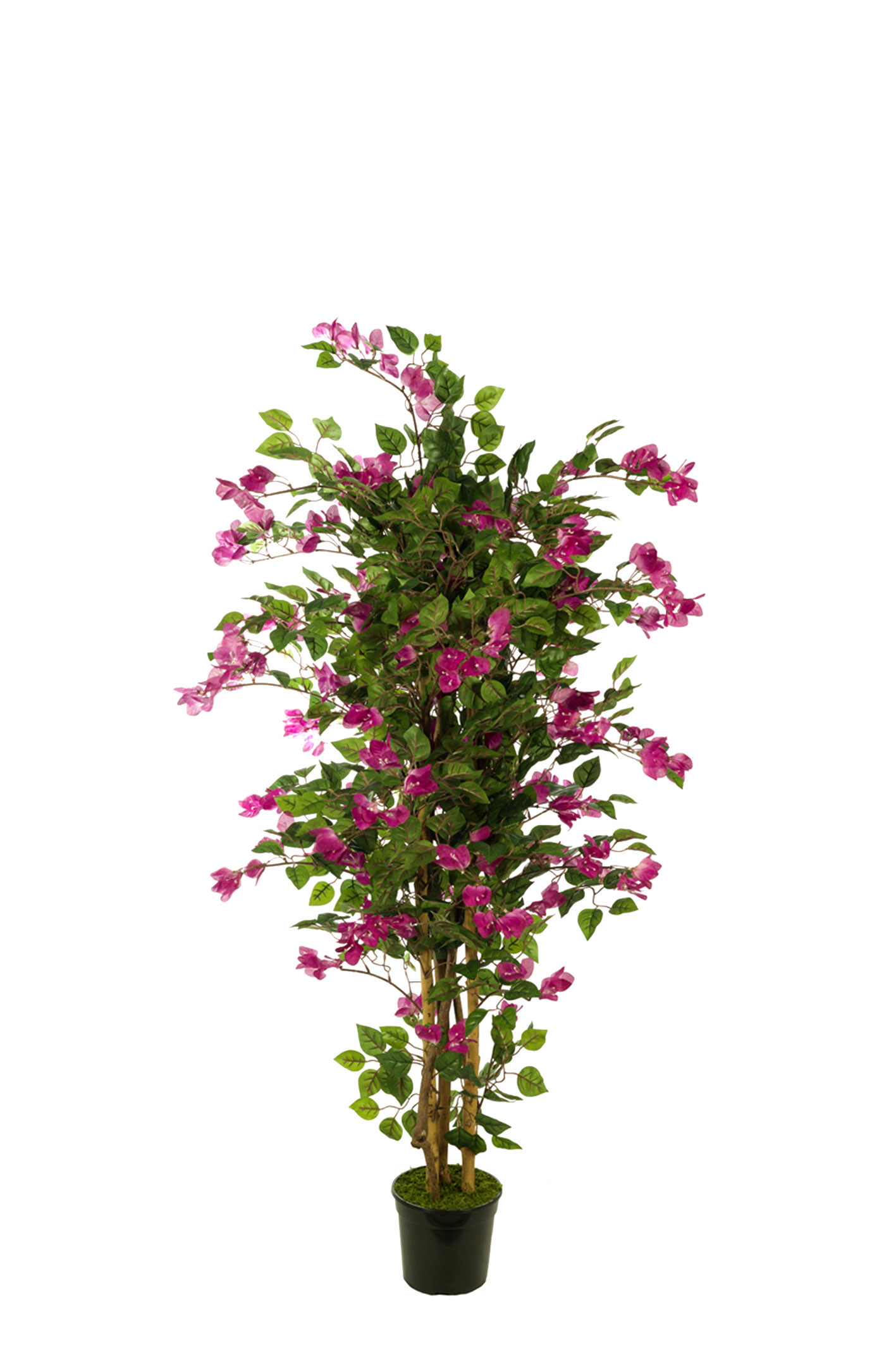 comprar 474156 FB AR.BUGAMBILIA 150CM online de desde 307,82 €