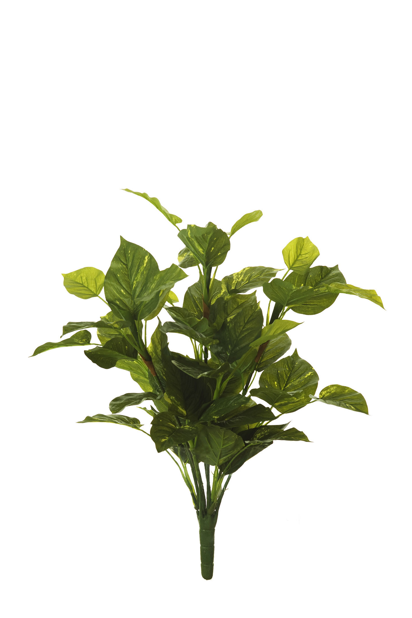 comprar 475592 PLANTA POTHOS X12 TACTO NAT. 73CM online de desde 33,88 €