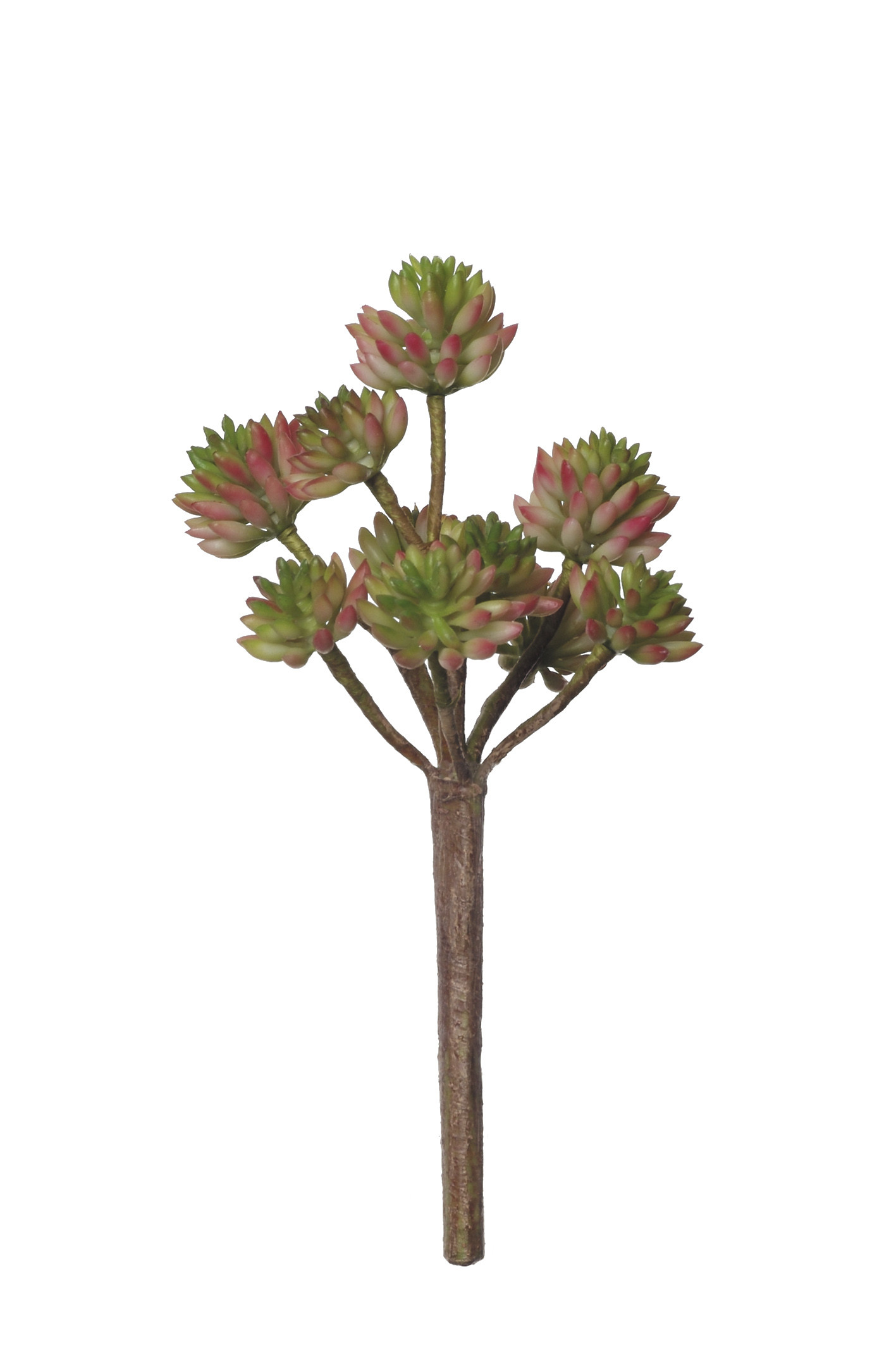 comprar 854093 PICK CRASA X10 23CM online de desde 8,95 €