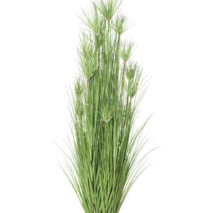 comprar 480096 PLANTA GRASS/PAPIRUS 62CM online de desde 82,63 €
