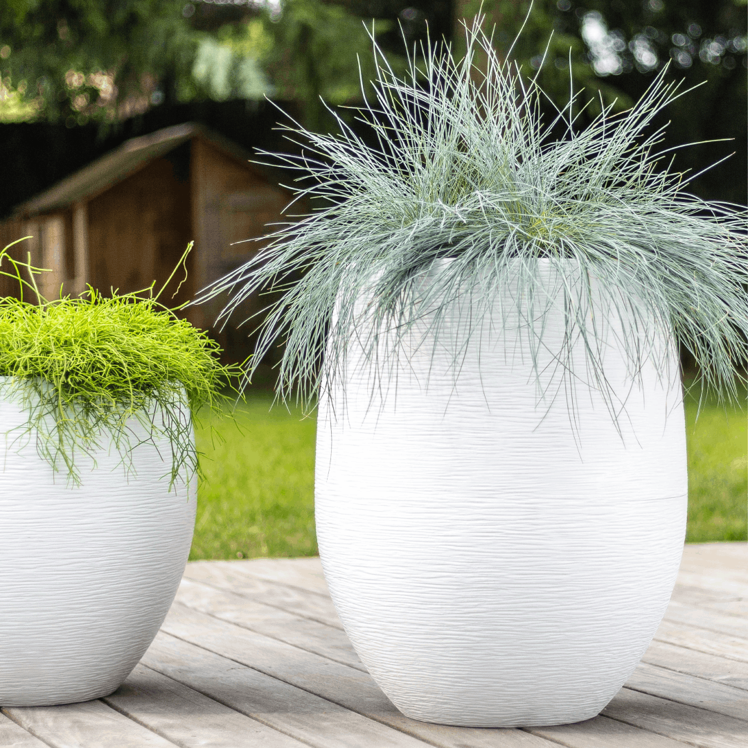 comprar GRAPHIT CAMPANA EGG online de desde 103,76 €