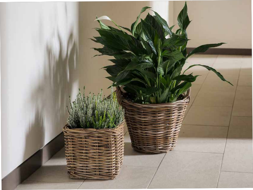 comprar PEGO MACETERO CON ASAS - Rattan con plástico online de desde 20,44 €