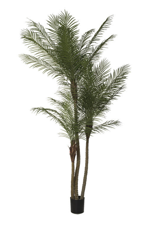 comprar Im Palmera Phoenix Tropical X3/2331 260cM Verde online de desde 781,18 €