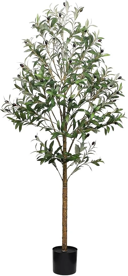 comprar Olivo - 150 cm online de desde 61,20 €