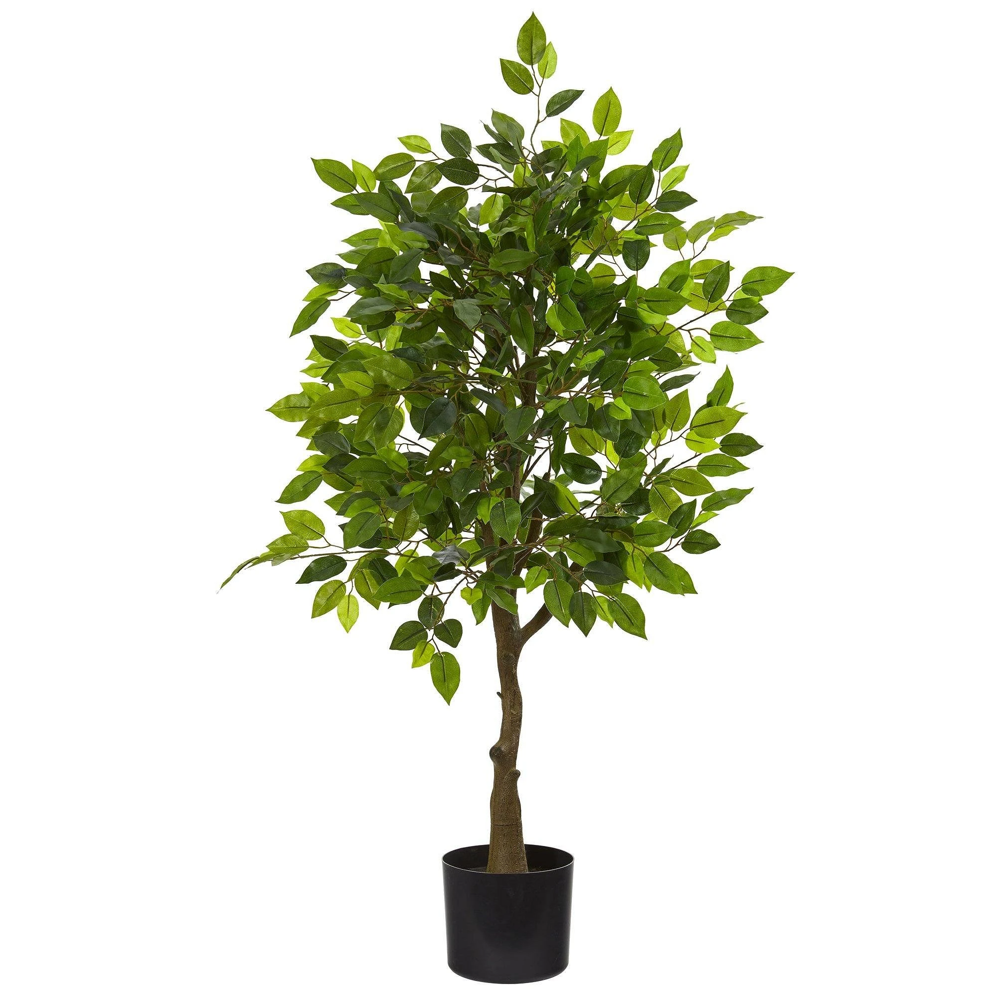 comprar Ficus - 150 cm online de desde 52,56 €