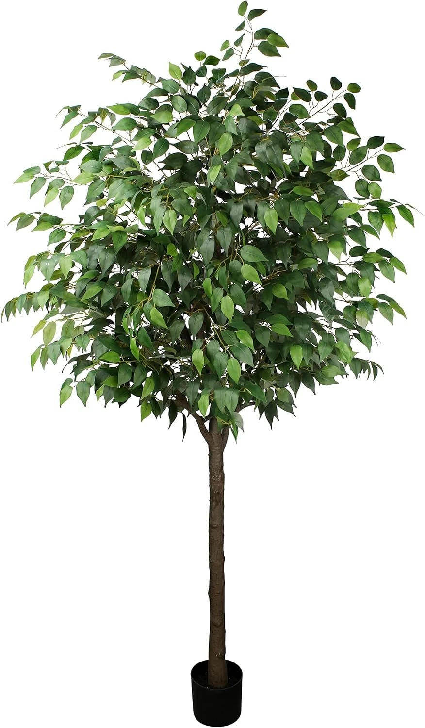 comprar Ficus - 180 cm online de desde 64,08 €