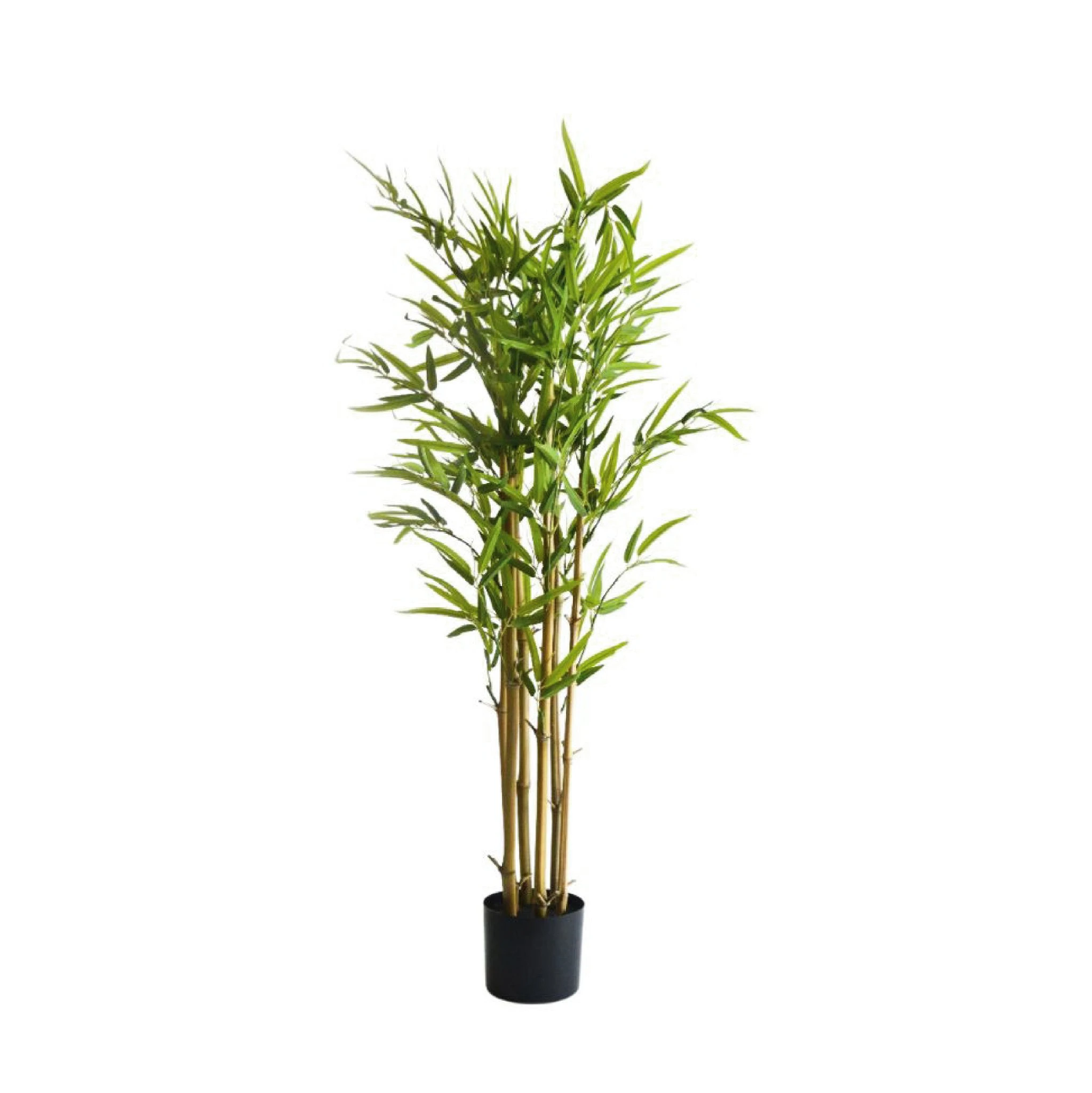 comprar Bambú - 105 cm online de desde 45,36 €