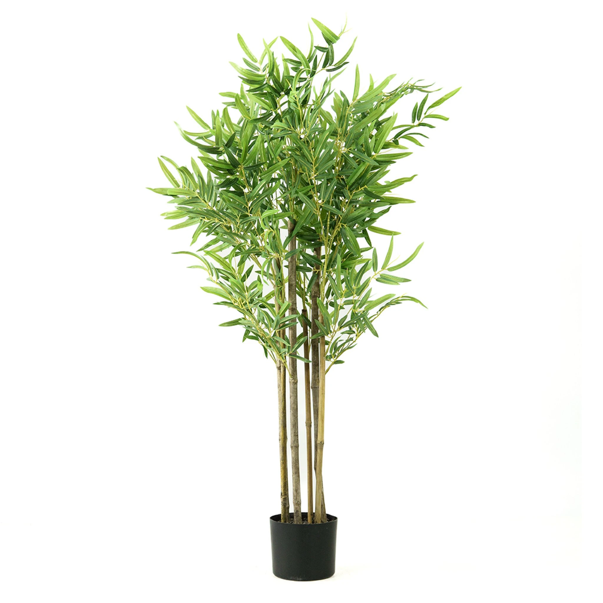 comprar Bambú - 180 cm online de desde 67,68 €