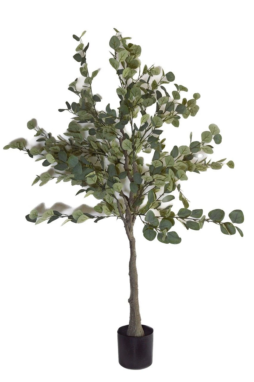 comprar Eucalipto - 175 cm online de desde 69,12 €