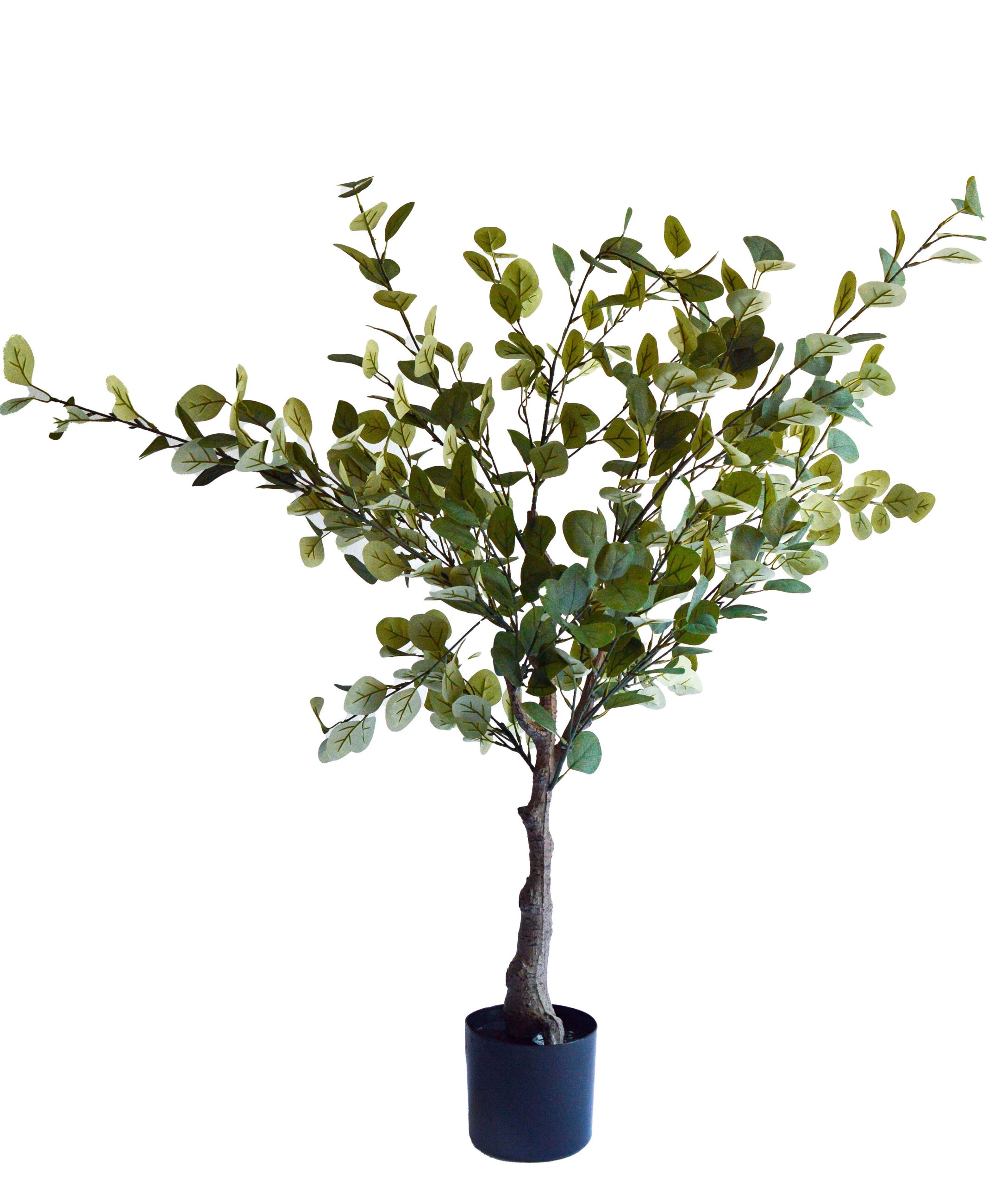 comprar Eucalipto - 130 cm online de desde 46,81 €