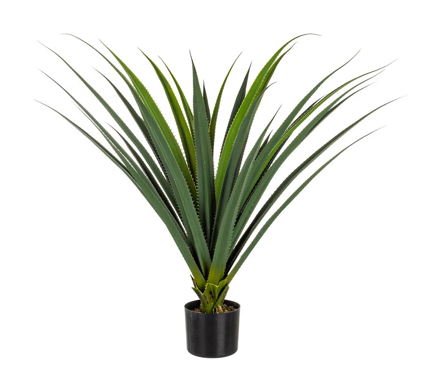 comprar PLANTA RUSCACEAE CON MACETERO 28HOJ H90CM online de BIZZOTTO desde 65,34 €