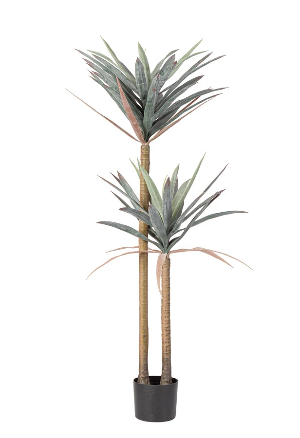 comprar PLANTA YUCCA CON MACETERO 68HOJAS H128 online de BIZZOTTO desde 77,32 €