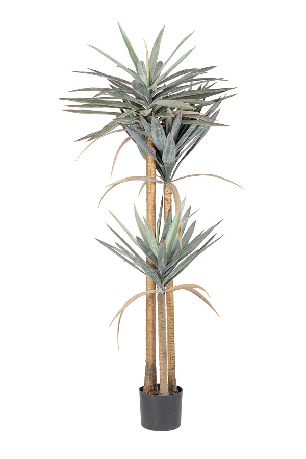 comprar PLANTA YUCCA CON MACETERO 120HOJAS H152 online de BIZZOTTO desde 132,86 €