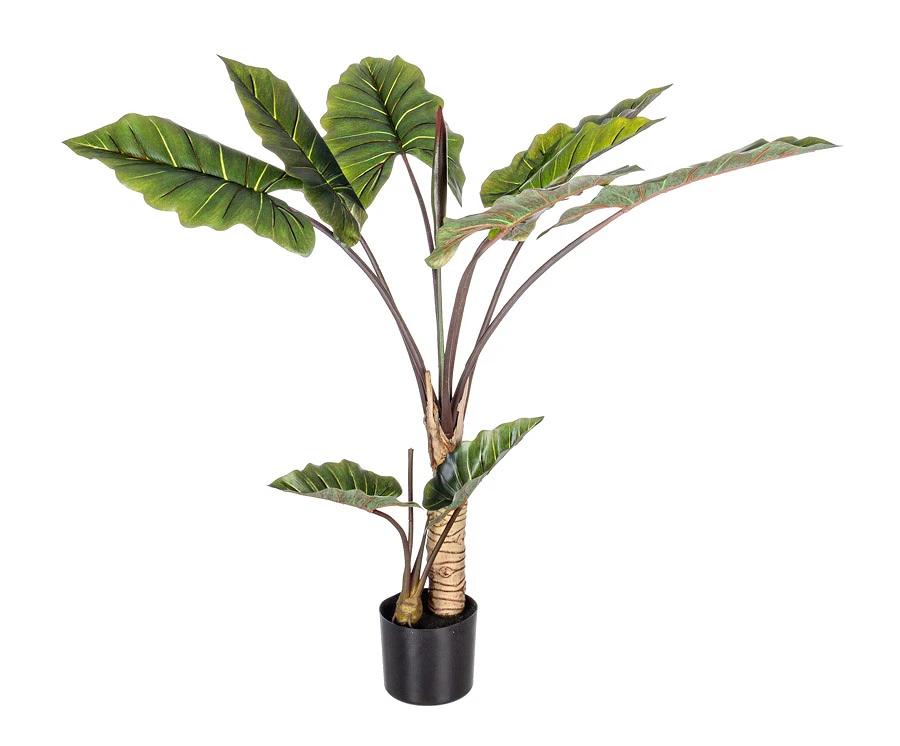 comprar PLANTA DIEFFENBACHIA CON MACETERO 10HOJAS H134 online de BIZZOTTO desde 123,06 €