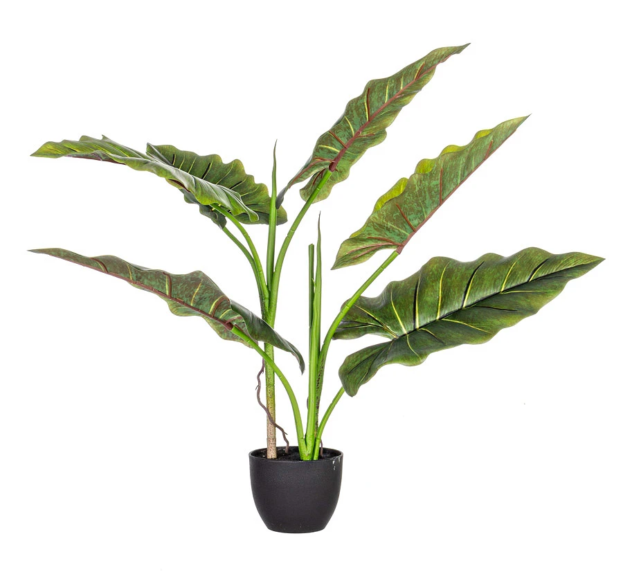 comprar PIANTA DIEFFENBACHIA CON MACETEROETA 7HOJAS H78 online de BIZZOTTO desde 52,27 €