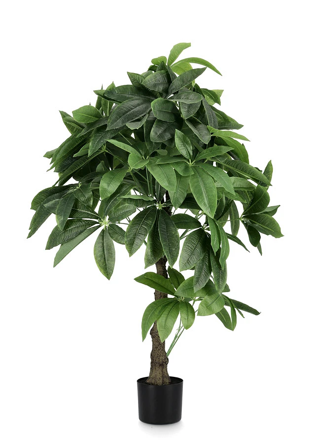 comprar PLANTA PACHIRA ACUÁTICO CON MACETERO 280H H120 online de BIZZOTTO desde 142,66 €