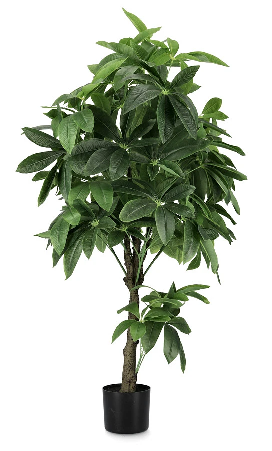 comprar PLANTA PACHIRA ACUÁTICO CON MACETERO 360H H160 online de BIZZOTTO desde 175,33 €