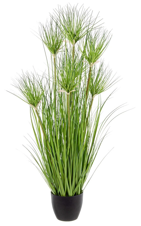 comprar PLANTA DESIERTO VERDE CON MACETERO X7HOJ H90 online de BIZZOTTO desde 46,83 €