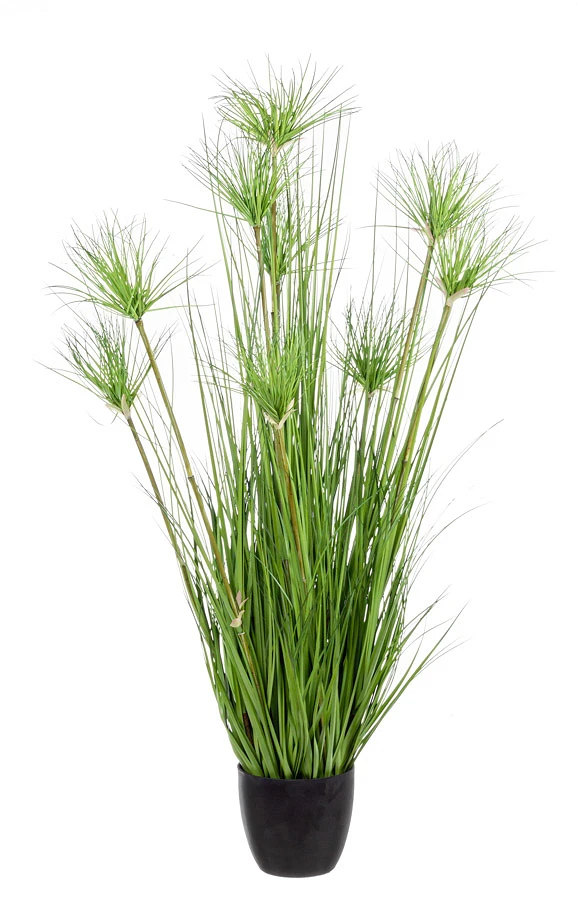 comprar PLANTA DESIERTO VERDE CON MACETERO X9FLOR H120 online de BIZZOTTO desde 84,94 €