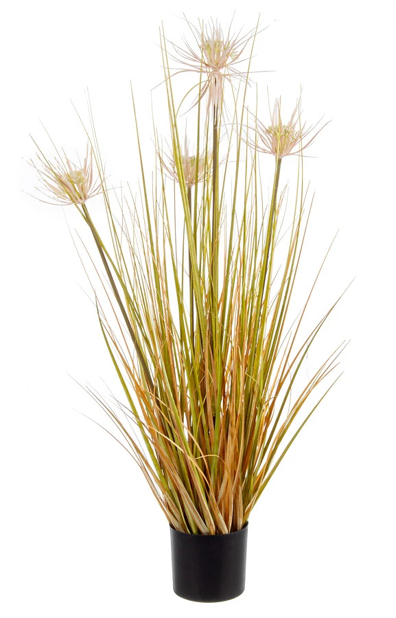 comprar PLANTA DESIERTO PAJA CON MACETERO X4FLOR H90 online de BIZZOTTO desde 33,32 €