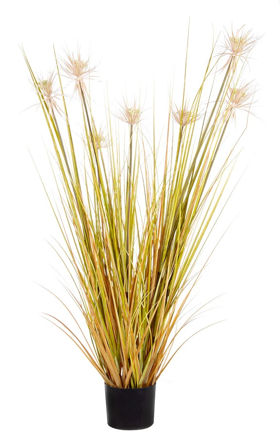 comprar PLANTA DESIERTO PAJA CON MACETERO X7FLOR H120 online de BIZZOTTO desde 58,81 €