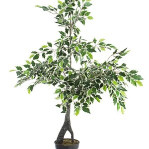 comprar PLANTA FICUS VARIEGADO CON MACETERO X760H H120 online de BIZZOTTO desde 87,12 €