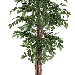 comprar PLANTA FICUS CON MACETERO 2480HOJAS H210 online de BIZZOTTO desde 185,13 €