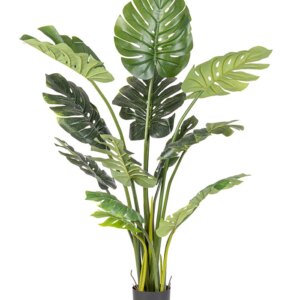comprar PLANTA FILODENDRO CON MACETERO 13FOGLIE H1 online de BIZZOTTO desde 103,46 €