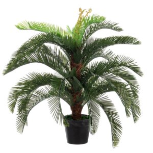 comprar PLANTA PALMA CYCAS CON MACETERO 30HOJ H100 online de BIZZOTTO desde 117,61 €