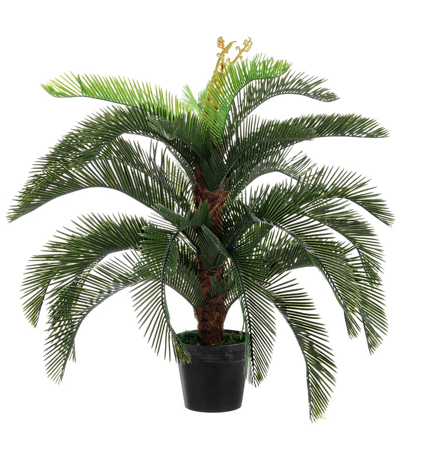 comprar PLANTA PALMA CYCAS CON MACETERO 30HOJ H100 online de BIZZOTTO desde 117,61 €