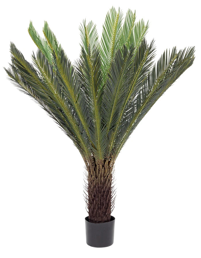 comprar PLANTA PALMA CYCAS CON MACETERO 28HOJ H120 online de BIZZOTTO desde 182,95 €
